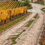 Le village de Beaune en France