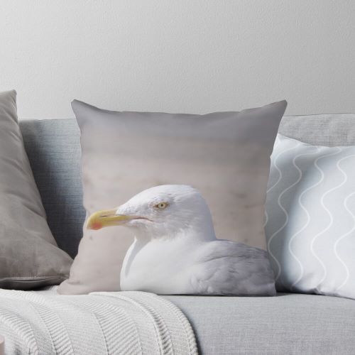 Seagull staring at beach