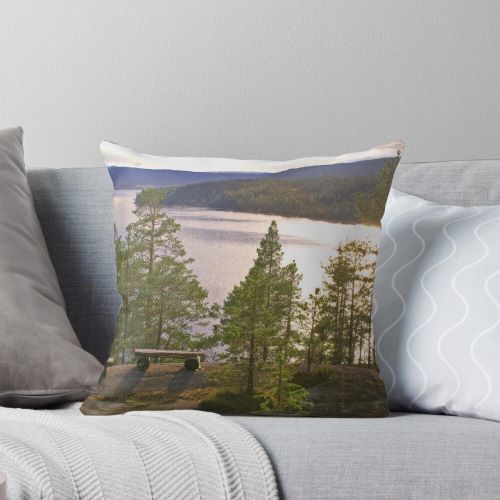 High coast with pine trees at sunset