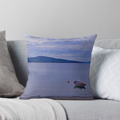 Anchored rowing boat by lake